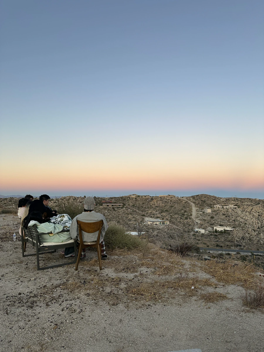 joshua tree